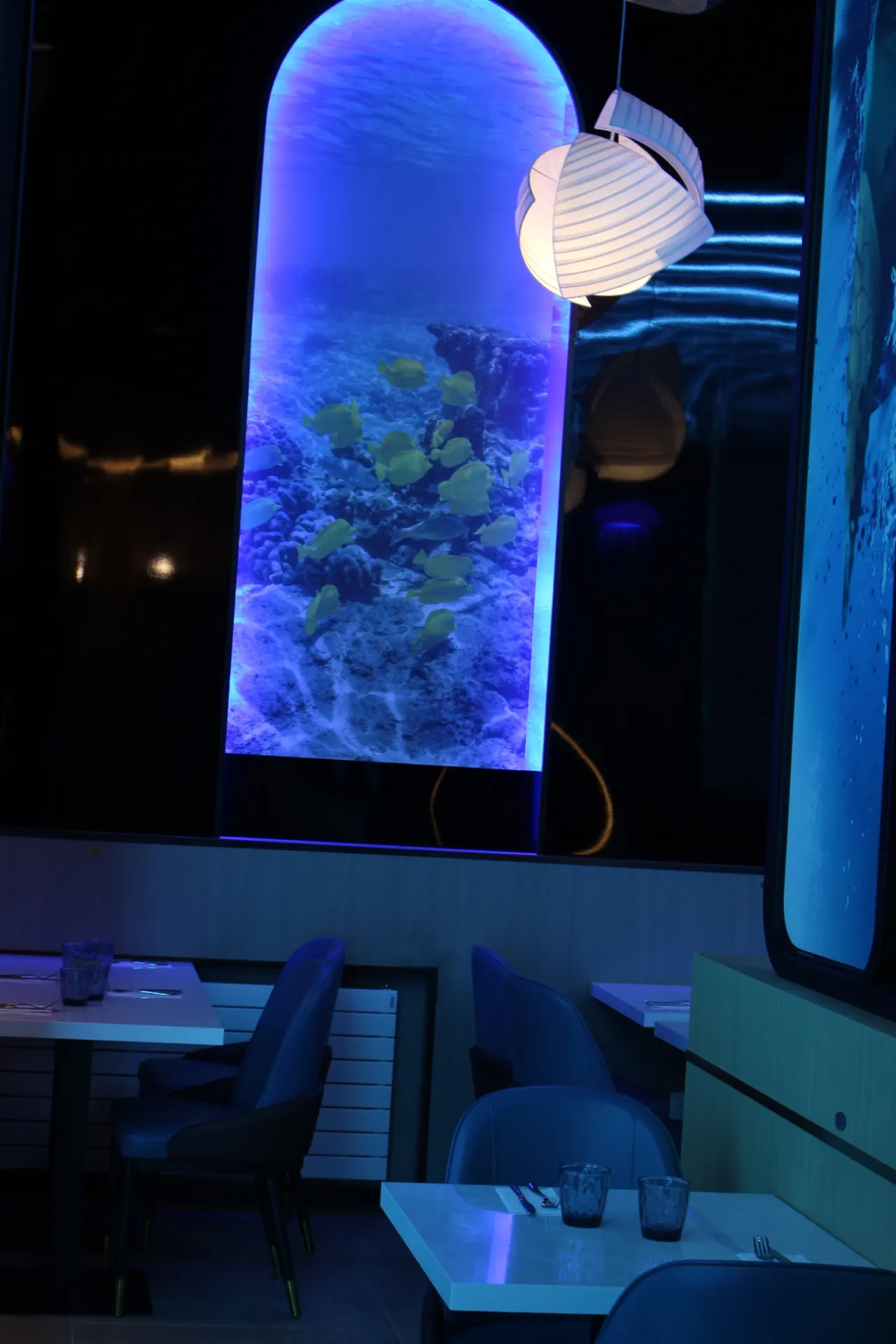 Salle du restaurant Ô Cent Couverts Montauban dans son décor océanique